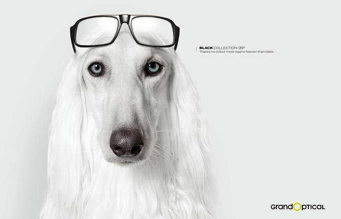 Grand Optical : Black Collection