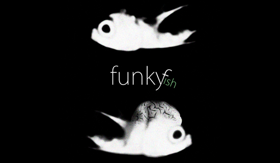 ff1