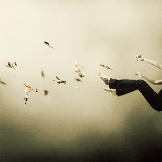 i-was-falling-high i-was-falling-high