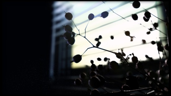 line_pl13_7201