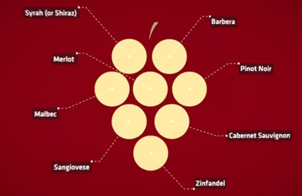 The Conception of Wine