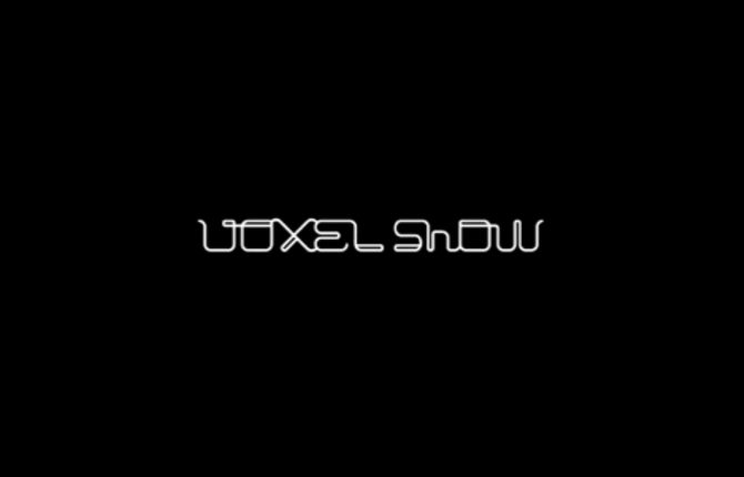 Voxel Show