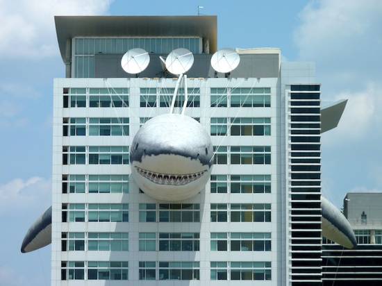 discovery-channel-shark-building3