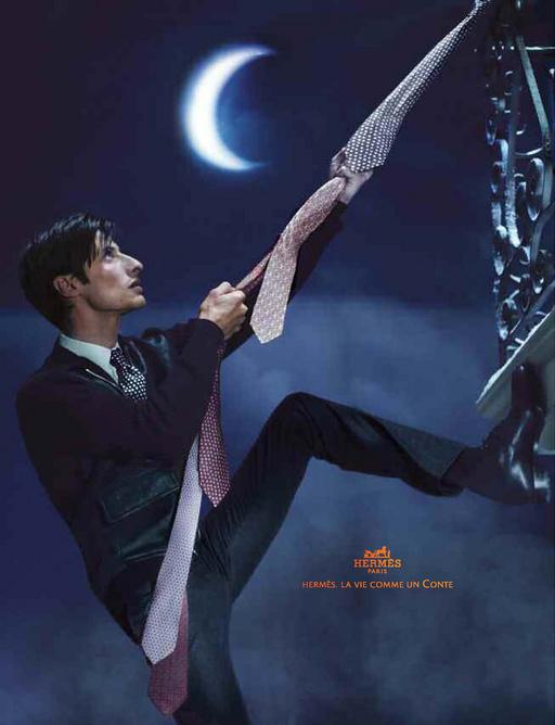 hermes2010campaign6