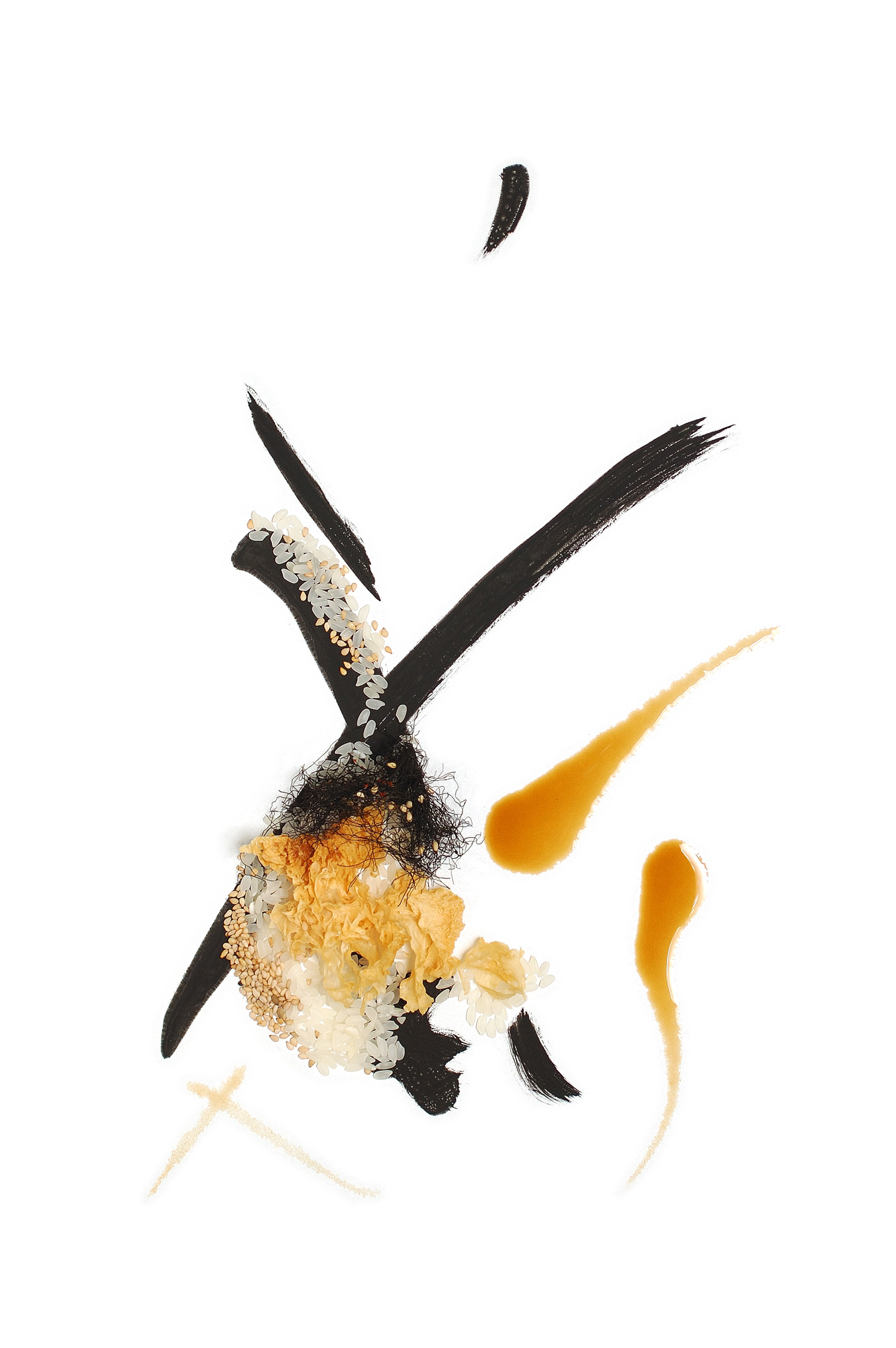 lhirondelle lhirondelle