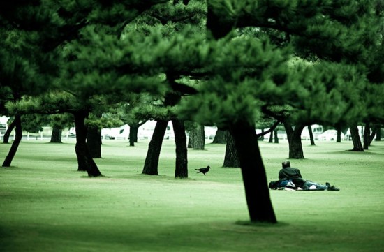 navidbaratyjapan8 navidbaratyjapan8