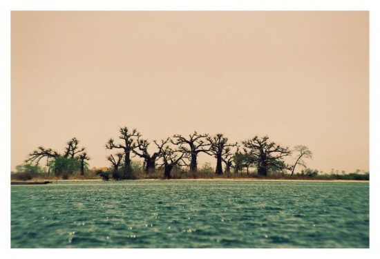 16_saloum_senegal 16_saloum_senegal