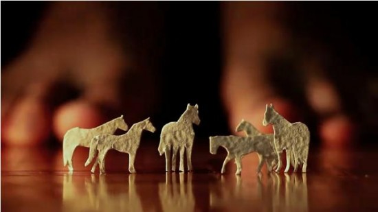 horses horses