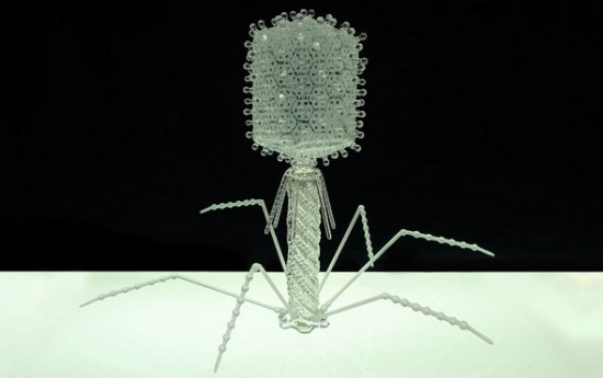 harmful-viruses-made-of-beautiful-glass4 harmful-viruses-made-of-beautiful-glass4