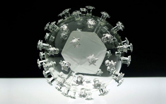 harmful-viruses-made-of-beautiful-glass8
