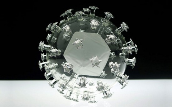 harmful-viruses-made-of-beautiful-glass8 harmful-viruses-made-of-beautiful-glass8