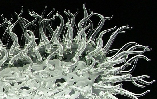 harmful-viruses-made-of-beautiful-glass9