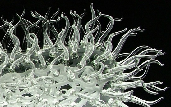 harmful-viruses-made-of-beautiful-glass9 harmful-viruses-made-of-beautiful-glass9