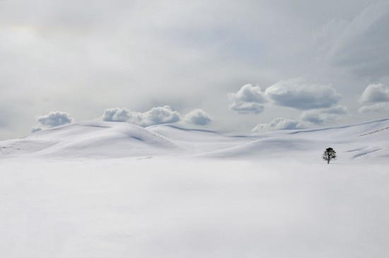 s_n39_0402011 s_n39_0402011