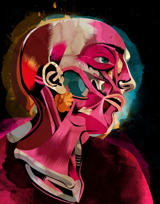 alvaro_tapia_hidalgo-anatomy
