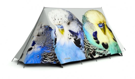 fieldcandy-tents3