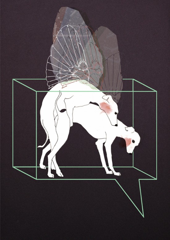 ramona_ring-grey_hounds