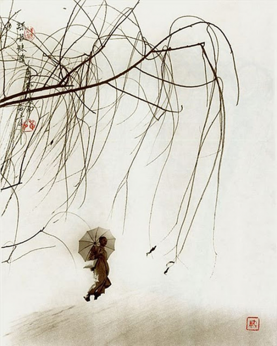 photography-chinese-paintings5