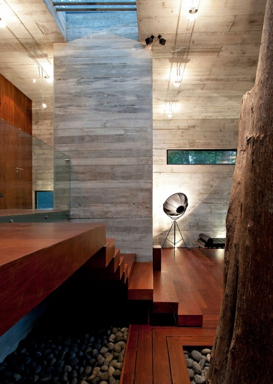 tree-corallo-house4