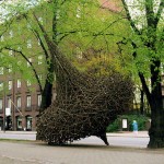 Natural Art Installations15