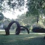 Natural Art Installations4