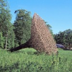 Natural Art Installations6