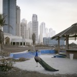 Abandoned Dubai10