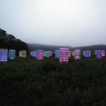 Bruce Munro Lights11