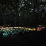 Bruce Munro Lights15