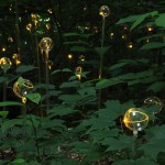 Bruce Munro Lights6