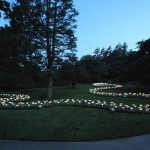 Bruce Munro Lights7