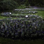 Bruce Munro Lights8