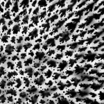 Emergence Emergence