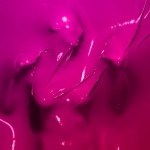 Color Human Bodies12