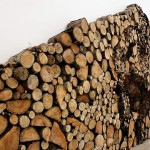 Dead Wood Installation1