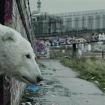 Greenpeace - Homeless Polar Bear1