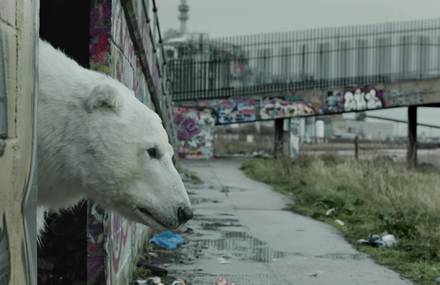 Greenpeace – Homeless Polar Bear