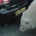 Greenpeace - Homeless Polar Bear4