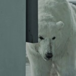 Greenpeace - Homeless Polar Bear5