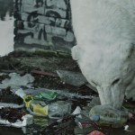 Greenpeace - Homeless Polar Bear6