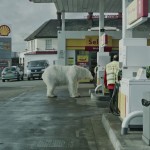 Greenpeace - Homeless Polar Bear8