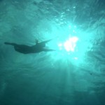 Quiksilver - Awakens The Spirit5