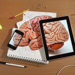 Visual Object Interpretation5