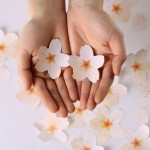 cherry blossom memo stickers2