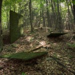 Nature Scientific Interpretation10