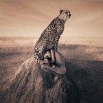 gregory-colbert-54