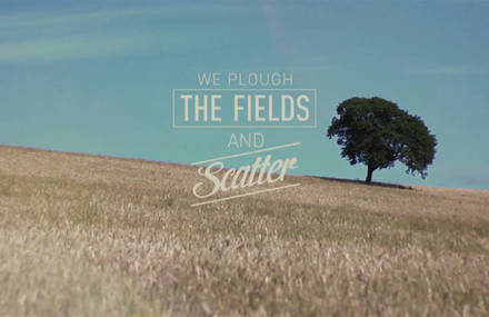 We plough the fields