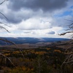 Wyoming Wildscapes4