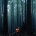 Elizabeth Gadd Photography