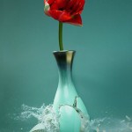 Exploding Vases